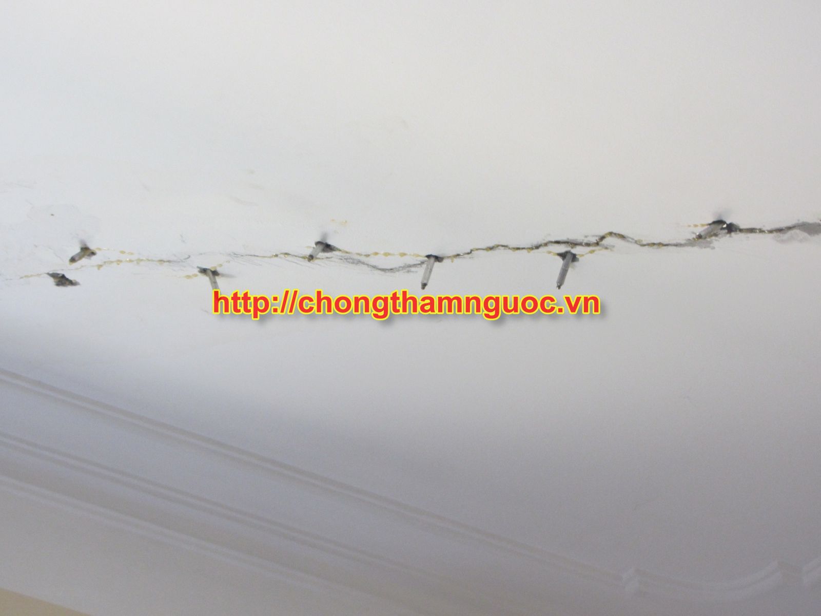 Keo bơm vào vết nứt trần nhà